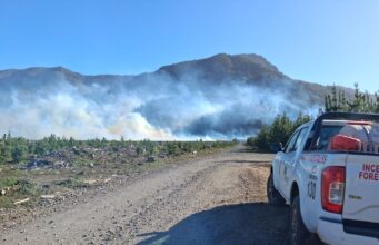 Dos incendios forestales en combate en La Araucanía: mantienen suspensión de quemas por viento puelche