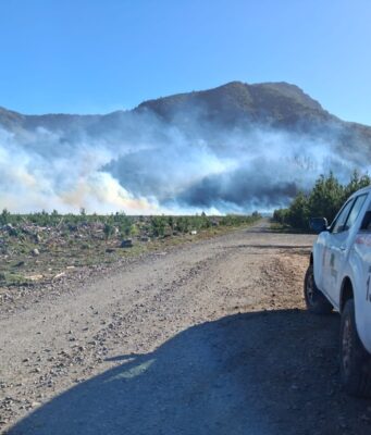 Dos incendios forestales en combate en La Araucanía: mantienen suspensión de quemas por viento puelche