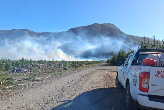 Dos incendios forestales en combate en La Araucanía: mantienen suspensión de quemas por viento puelche