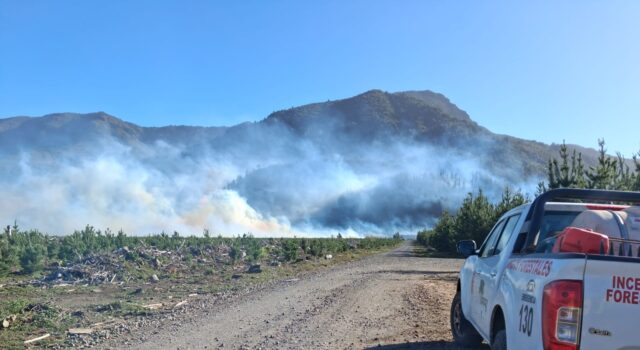 Dos incendios forestales en combate en La Araucanía: mantienen suspensión de quemas por viento puelche