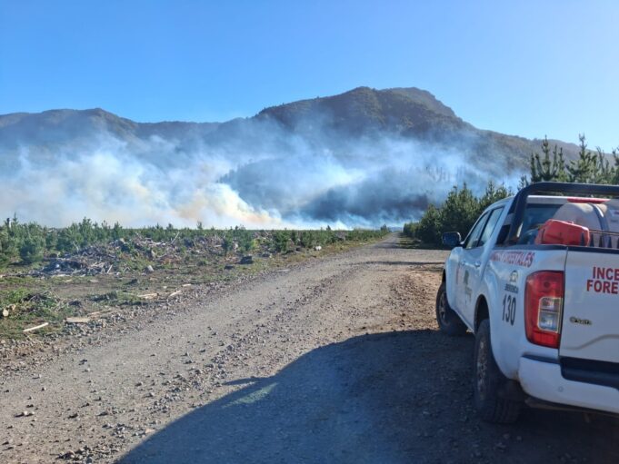 Dos incendios forestales en combate en La Araucanía: mantienen suspensión de quemas por viento puelche