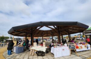 Programa de la municipalidad de Freire organiza feria especial día de la madre con emprendedoras locales
