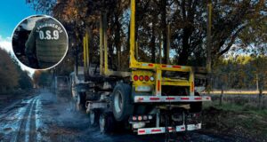 Dos camiones destruidos deja nuevo atentado incendiario en La Araucanía