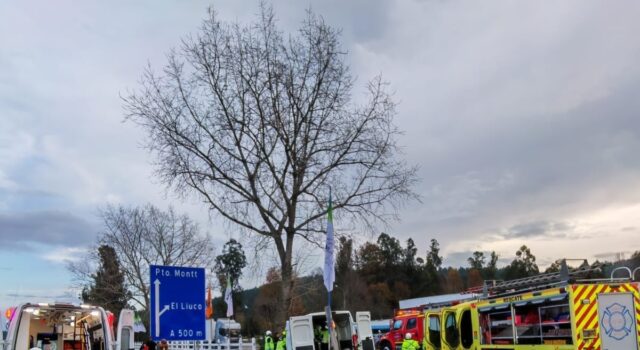 Copiloto murió tras brutal choque de furgón en Gorbea