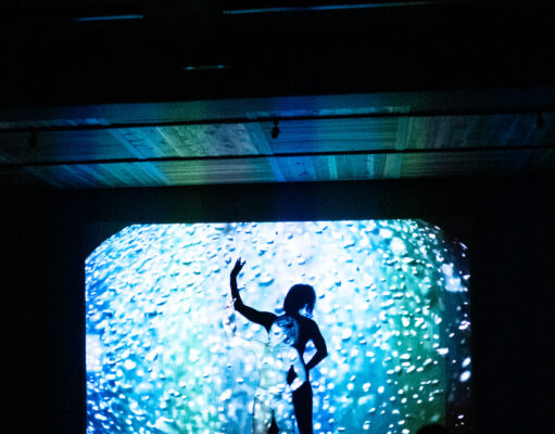 Convocatoria abierta para la segunda edición de RARA: Festival de Danza Contemporánea en Pucón