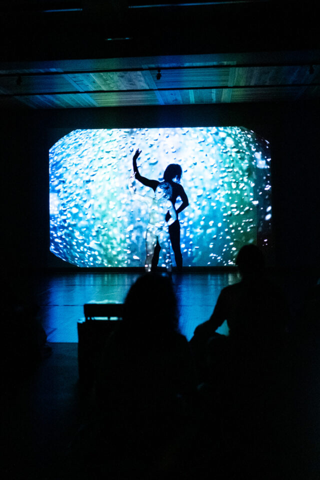 Convocatoria abierta para la segunda edición de RARA: Festival de Danza Contemporánea en Pucón