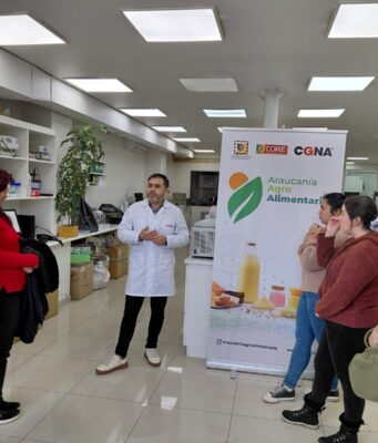 Diseñando Nuevos Alimentos: Emprendedores de La Araucanía potencian sus negocios con ciencia y tecnología
