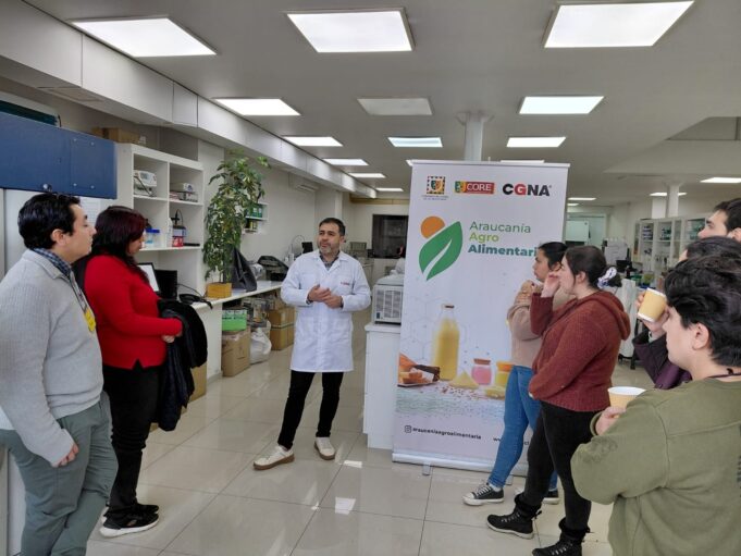 Diseñando Nuevos Alimentos: Emprendedores de La Araucanía potencian sus negocios con ciencia y tecnología