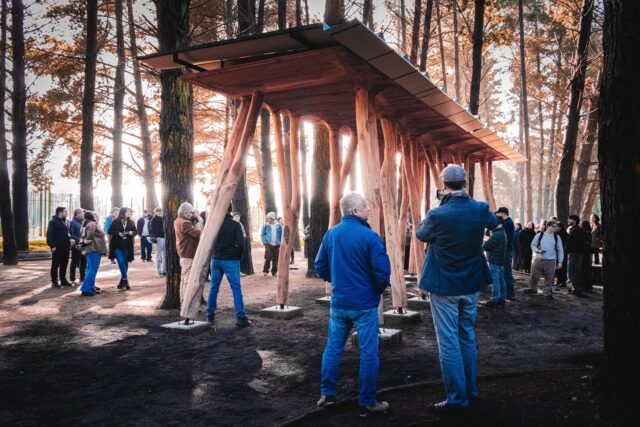 U. Autónoma de Chile instala en Parque Urbano Isla Cautín el pabellón “El Bosque Domesticado” para explorar vínculos entre tecnología y materia