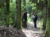 Experiencias en terreno muestran impacto del fondo de bosque nativo en La Araucanía