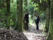 Experiencias en terreno muestran impacto del fondo de bosque nativo en La Araucanía