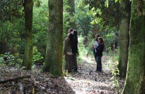 Experiencias en terreno muestran impacto del fondo de bosque nativo en La Araucanía