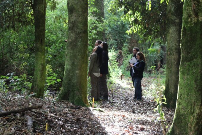 Experiencias en terreno muestran impacto del fondo de bosque nativo en La Araucanía