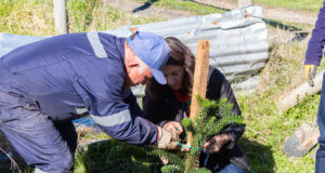 Teodoro Schmidt impulsa plantación de araucarias para fortalecer la identidad cultural mapuche