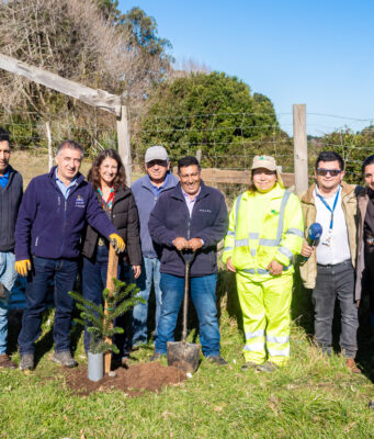 Teodoro Schmidt impulsa plantación de araucarias para fortalecer la identidad cultural Mapuche