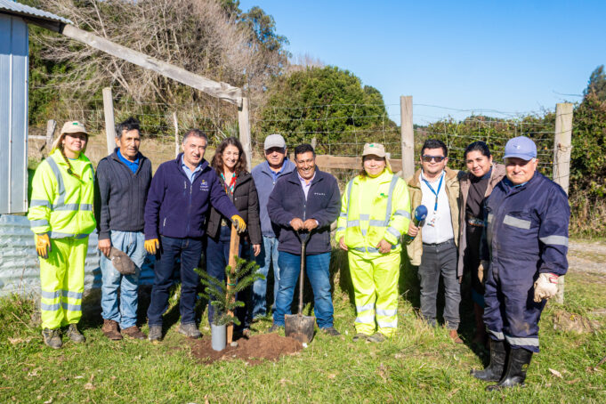 Teodoro Schmidt impulsa plantación de araucarias para fortalecer la identidad cultural Mapuche