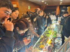 Festival Fungi de Pucón 2026 reunió a más de 12 mil asistentes