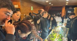 Festival Fungi de Pucón 2026 reunió a más de 12 mil asistentes