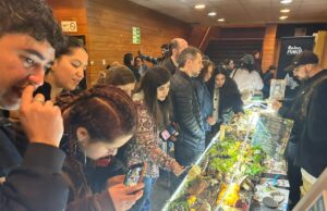 Festival Fungi de Pucón 2026 reunió a más de 12 mil asistentes
