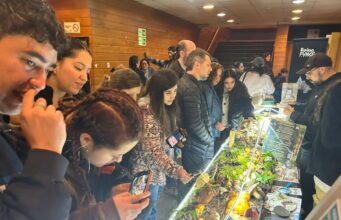 Festival Fungi de Pucón 2026 reunió a más de 12 mil asistentes