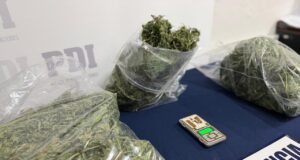 PDI saca de circulación 10 millones de pesos en cannabis sativa procesada en Traiguén