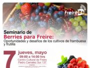 Productores de berries de Freire serán parte de seminario estratégico orientado al desarrollo del rubro hacia 2027