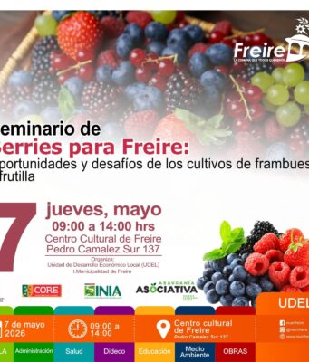 Productores de berries de Freire serán parte de seminario estratégico orientado al desarrollo del rubro hacia 2027