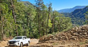 Detienen faenas por intervención ilegal de bosque nativo en la comuna de Curarrehue