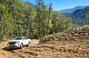 Detienen faenas por intervención ilegal de bosque nativo en la comuna de Curarrehue