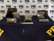 Detectives antidrogas allanaron vivienda y encontraron cannabis lista para comercialización en Angol