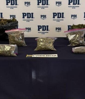 Detectives antidrogas allanaron vivienda y encontraron cannabis lista para comercialización en Angol