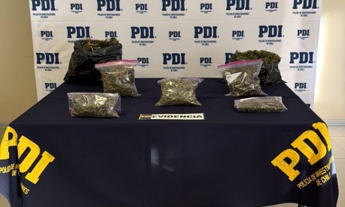 Detectives antidrogas allanaron vivienda y encontraron cannabis lista para comercialización en Angol