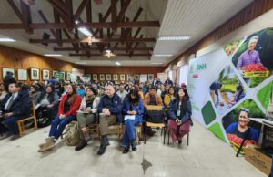 Seminario de berries reunió a productores de Freire en jornada enfocada en estrategias para el 2027
