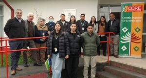 Comisión del consejo regional de La Araucanía sesionó en Pitrufquén para abordar temáticas de discapacidad e inclusión