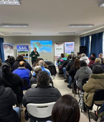 Más de 100 productores participaron en charla sobre prevención de gripe aviar en Pitrufquén