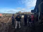 Freire y Temuco fueron escenario de operativo migratorio de la PDI con denuncias y expulsiones notificadas