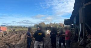 Freire y Temuco fueron escenario de operativo migratorio de la PDI con denuncias y expulsiones notificadas
