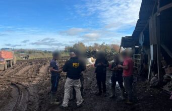 Freire y Temuco fueron escenario de operativo migratorio de la PDI con denuncias y expulsiones notificadas