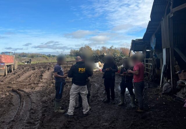 Freire y Temuco fueron escenario de operativo migratorio de la PDI con denuncias y expulsiones notificadas
