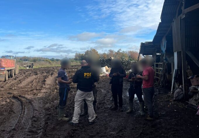 Freire y Temuco fueron escenario de operativo migratorio de la PDI con denuncias y expulsiones notificadas