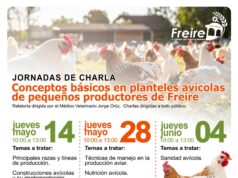 Municipalidad de Freire fortalece el desarrollo local con capacitaciones gratuitas para productores avícolas y emprendedores de ferias libres