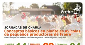 Municipalidad de Freire fortalece el desarrollo local con capacitaciones gratuitas para productores avícolas y emprendedores de ferias libres
