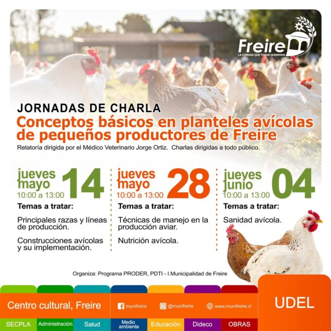 Municipalidad de Freire fortalece el desarrollo local con capacitaciones gratuitas para productores avícolas y emprendedores de ferias libres