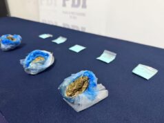 PDI Traiguén concreta dos procedimientos antidrogas y detiene a dos personas por microtráfico