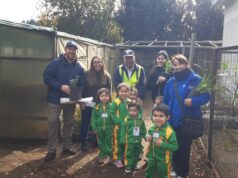 Vivero municipal de Freire recibió a estudiantes en jornada sobre sustentabilidad