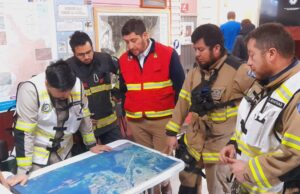 Más de 80 hectáreas preliminares afectadas por incendio forestal en sector villa García en la comuna de Cunco