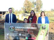 Sercotec invita a participar del programa Capital Abeja para impulsar el emprendimiento femenino