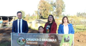 Sercotec invita a participar del programa Capital Abeja para impulsar el emprendimiento femenino