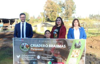 Sercotec invita a participar del programa Capital Abeja para impulsar el emprendimiento femenino