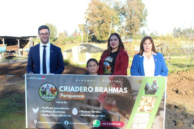 Sercotec invita a participar del programa Capital Abeja para impulsar el emprendimiento femenino